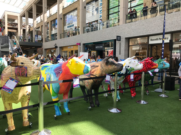 Prehistoric Ox