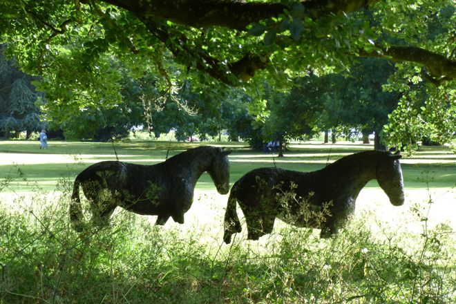 Swaying Horses